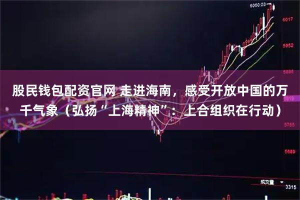 股民钱包配资官网 走进海南，感受开放中国的万千气象（弘扬“上海精神”：上合组织在行动）