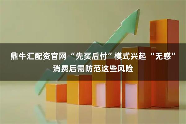鼎牛汇配资官网 “先买后付”模式兴起 “无感”消费后需防范这些风险
