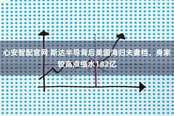 心安智配官网 斯达半导背后美国海归夫妻档，身家较高点缩水182亿